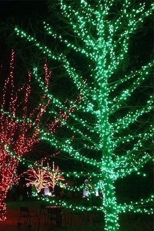 Гирлянды на дерево Клип Лайт Quality Light 30 м, 300 зеленых LED ламп, с мерцанием, прозрачный ПВХ, IP44, BEAUTY LED