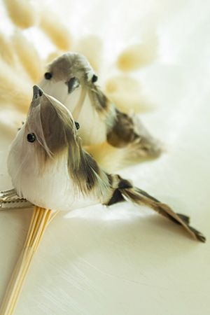 Набор ёлочных игрушек GENTLE BIRDS на клипсе, перо, коричневый, 11 см, 2 шт., Kaemingk