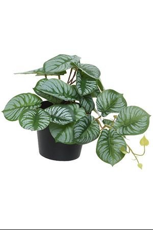Искусственное растение СЦИНДАПСУС, 18 см, Kaemingk