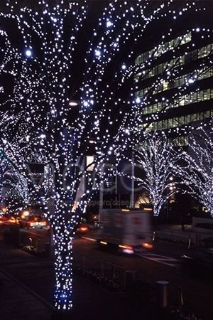 Гирлянды на дерево Клип Лайт Quality Light 60 м, 600 холодных белых LED ламп, черный ПВХ, IP44, BEAUTY LED