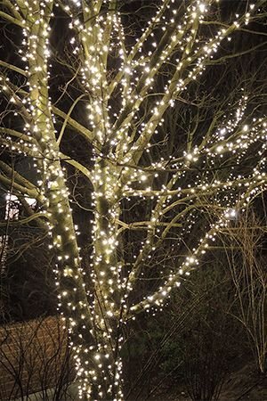 Гирлянды на дерево Клип Лайт Quality Light 30 м, 300 теплых белых LED ламп, черный ПВХ, IP44, BEAUTY LED