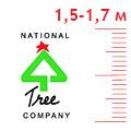  1,5-1,7  National Tree