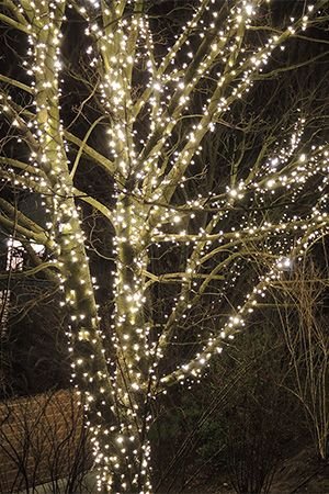 Гирлянды на дерево Клип Лайт Legoled 30 м, 225 теплых белых LED ламп, черный КАУЧУК, IP54, BEAUTY LED