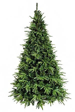    210 c,  + , CRYSTAL TREES