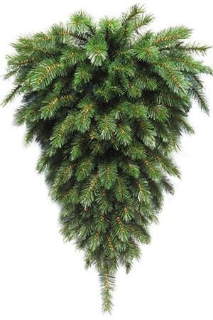    -    90 ,  + , Triumph Tree