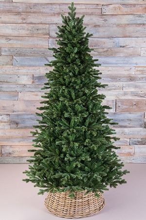      215 ,  + , Triumph Tree