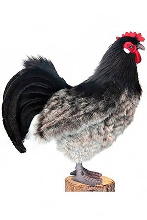 Игрушка КУРИЦА ЭЛЬЗАССКАЯ, 34 см, HANSA
