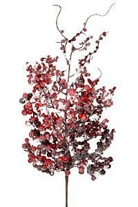    , , 73 , Edelman