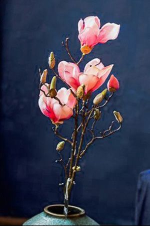  , , 85 , Edelman