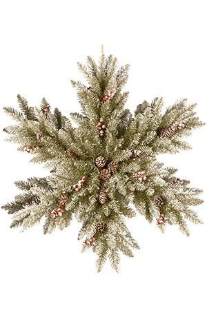    -    ,    , 81 , National Tree Company