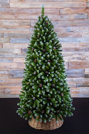 Искусственная елка ИМПЕРАТРИЦА с шишками заснеженная 4,25 м Triumph Tree 73088