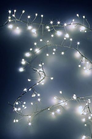 CLUSTER LIGHTS -   () 200   mini LED-, 2 , ,  , , SNOWHOUSE