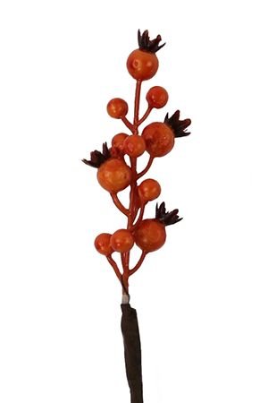 Декоративная ветка БОЯРЫШНИК оранжевый, 50 см, Hogewoning