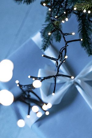  ' ' (, compact), 750   LED-, 16+5 ,  , , , , Kaemingk (Lumineo)
