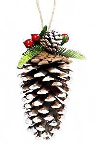 - , 17 , A Perfect Christmas