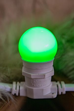 Лампа для Белт Лайт LED зеленая, 45 мм, Е27, 1 Вт, Rich LED