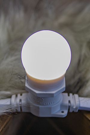 Лампа для Белт Лайт LED холодная белая, 45 мм,  Е27, 1 Вт, Rich LED