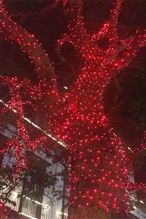 Гирлянды на дерево Клип Лайт Quality Light 60 м, 600 красных LED ламп, с мерцанием, прозрачный ПВХ, IP44, BEAUTY LED