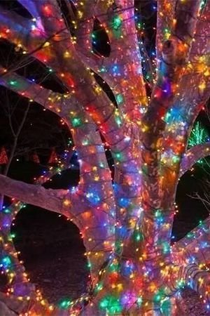 Гирлянды на дерево Клип Лайт Quality Light 30 м, 300 разноцветных LED ламп, с мерцанием, прозрачный ПВХ, IP44, BEAUTY LED