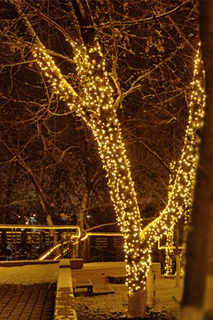Гирлянды на дерево Клип Лайт Quality Light 100 м, 1000 желтых LED ламп, с мерцанием, прозрачный ПВХ, IP44, BEAUTY LED