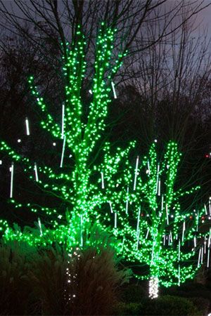 Гирлянды на дерево Клип Лайт Quality Light 100 м, 1000 зеленых LED ламп, с мерцанием, прозрачный ПВХ, IP44, BEAUTY LED