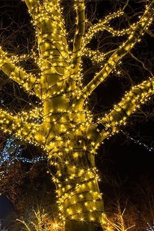 Гирлянды на дерево Клип Лайт Quality Light 60 м, 600 желтых LED ламп, прозрачный ПВХ, IP44, BEAUTY LED