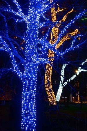 Гирлянды на дерево Клип Лайт Quality Light 60 м, 600 синих LED, прозрачный ПВХ, IP44, BEAUTY LED