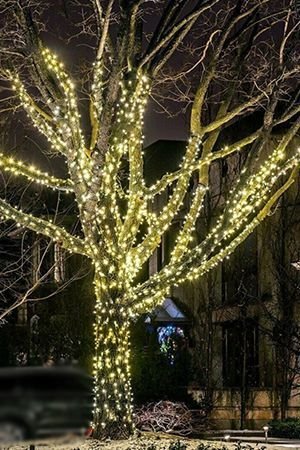 Гирлянды на дерево Клип Лайт Quality Light 60 м, 600 теплых белых LED ламп, прозрачный ПВХ, IP44, BEAUTY LED