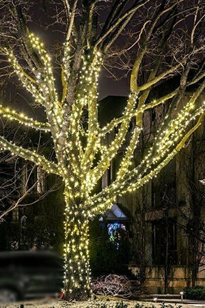 Гирлянды на дерево Клип Лайт Quality Light 100 м, 1000 теплых белых LED ламп, прозрачный ПВХ, IP44, BEAUTY LED