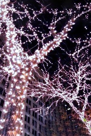 Гирлянды на дерево Клип Лайт Quality Light 100 м, 1000 холодных белых LED ламп, прозрачный ПВХ, IP44, BEAUTY LED