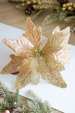     , ,    , 23 , Due Esse Christmas