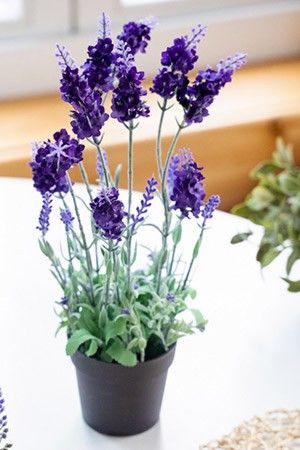 Искусственные цветы ЛАВАНДА в горшочке, пластик, цвет-фиолетовый, 18x18x38 см, Kaemingk