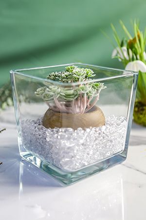 Стеклянная ваза ЛОТТИ, прозрачная, 14 см, Edelman