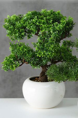 Элитное искусственное растение БОНСАЙ (лиственный) в белом кашпо, пластик, керамика, 32х33 см, Boltze