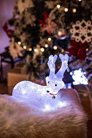   ͨ   , , 24   LED-, 143135 , , , Kaemingk (Lumineo)