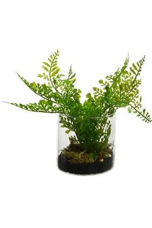 Элитное искусственное растение ПАПОРОТНИК в стеклянном кашпо, пластик, 25x21 см, Kaemingk