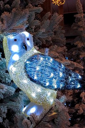    , , 50   LED-, 44x22x37 , , Kaemingk (Lumineo)