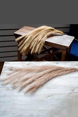 Декоративная ветка ПЬЮМЭ, искусственные перья, бежево-розовая, 130 см, Koopman International