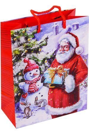 Подарочный пакет БАББО НАТАЛЕ (со снеговичком), 20х25 см, Due Esse Christmas