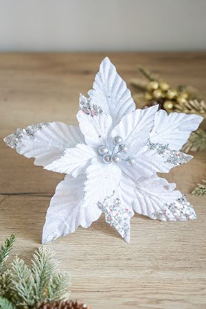    , , 28 , Due Esse Christmas