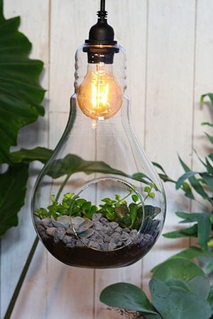 Лампа - флорариум КАПЛЯ с подсветкой 220V,  подвесная, 32 см, 4 SEASONS