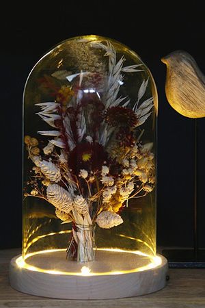 Стеклянный клош на деревянной подставке СВЕТ ВОЛШЕБСТВА для декоративных композиций, с подсветкой, 21.5 см, 4 SEASONS