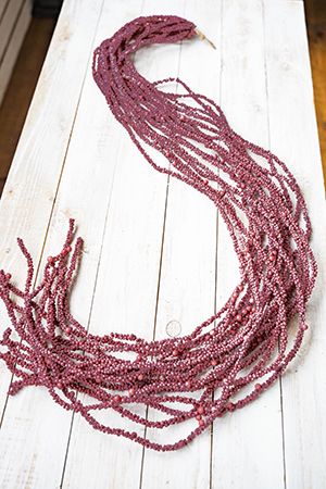 - BERRY FANTASY, , : , 145 , Boltze