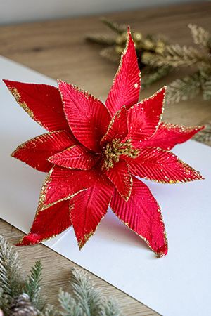   , , 35 , Due Esse Christmas