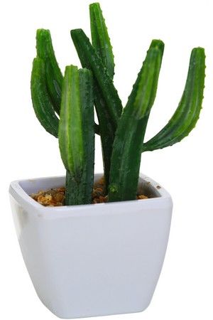 Искусственное растение КАКТУС (Стапелия) в горшке, пластик, 14 см, Boltze