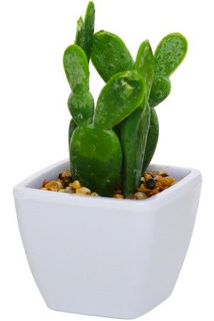 Искусственное растение КАКТУС (Опунция) в горшке, пластик, 14 см, Boltze