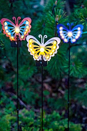    Solar FAIRY BUTTERFLY   , 11    LED-, 75 , 3 ., Kaemingk (Lumineo)