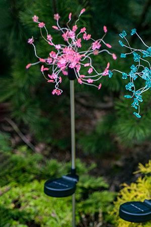 Декоративный садовый светильник Solar ЦВЕТОЧКИ-ЗВЁЗДОЧКИ розовые, на солнечной батарее, 90 тёплых белых LED-огней, 25х85 см, Kaemingk (Lumineo)
