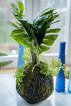 Искусственное растение подвесное МОНСТЕРА, пластик, 60х50 см, Kaemingk