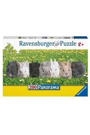 , Ravensburger